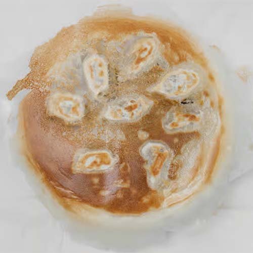 4. Pork & Cabbage Dumplings (8)